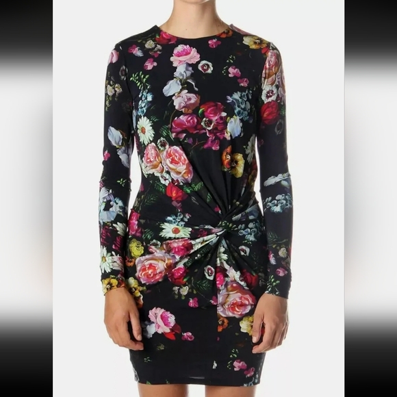 Ted Baker Dresses & Skirts - Ted Baker Izzie Oil Painting Dress